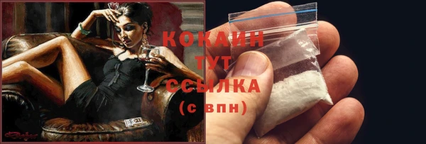 соль ск Абаза