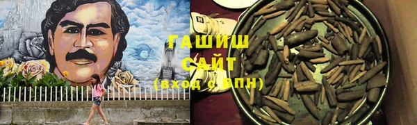 соль ск Абаза