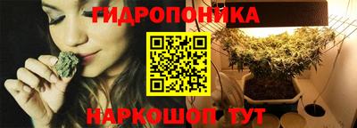 прущие грибы Краснокаменск