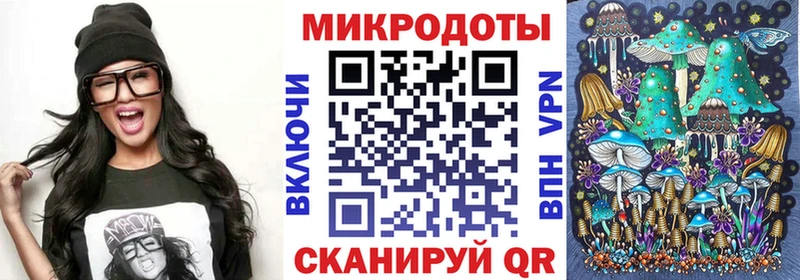 Псилоцибиновые грибы Psilocybine cubensis  Юрга 