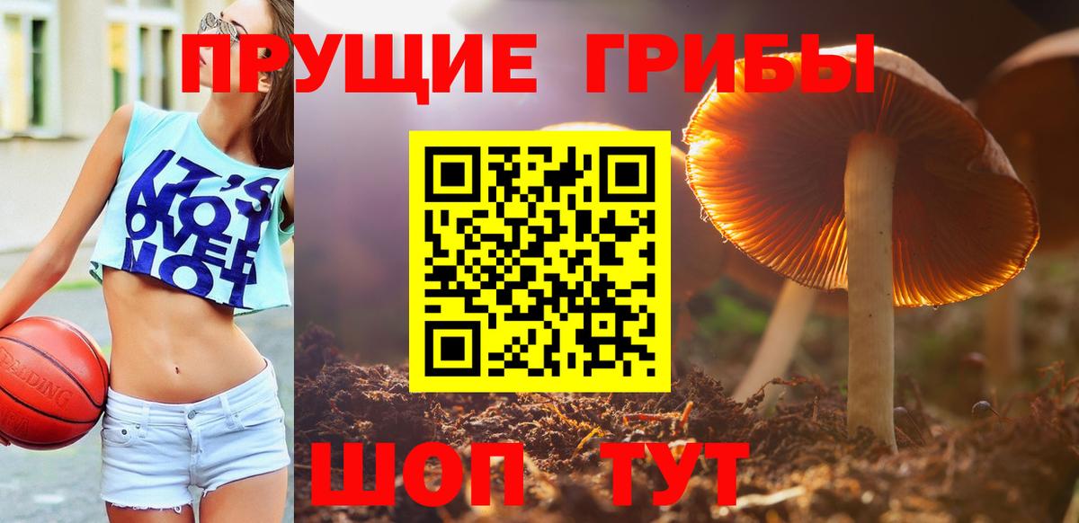 Юрга  Псилоцибиновые грибы прущие грибы  Вход с VPN 